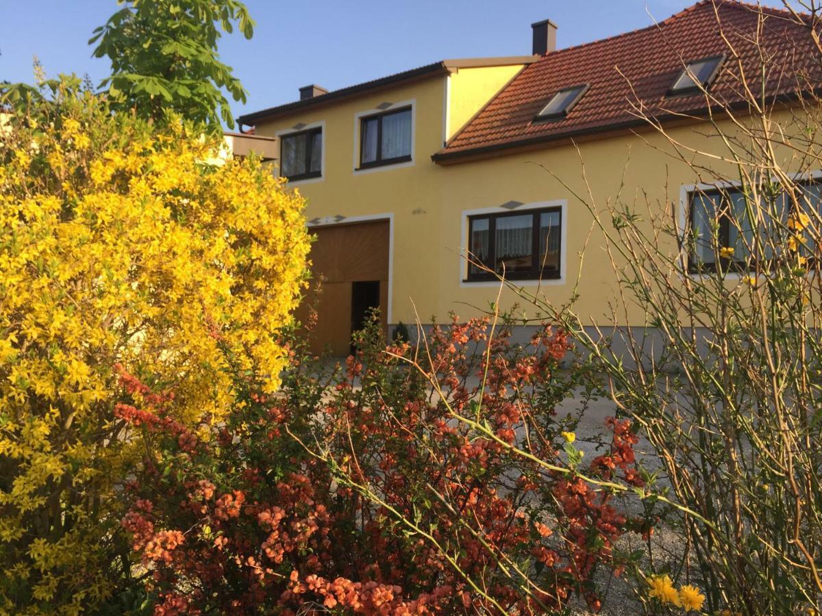 Amstetter'S Ferienwohnung Waldenstein  Exteriér fotografie